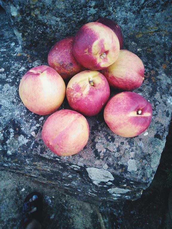 Herdade Do Azinhal Santa Clara-a-Velha Eksteriør bilde